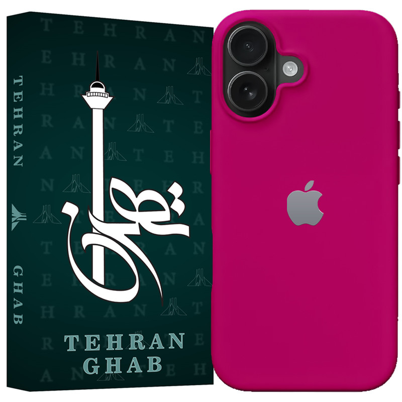 کاور تهران قاب مدل TSI20 مناسب برای گوشی موبایل اپل iPhone 16