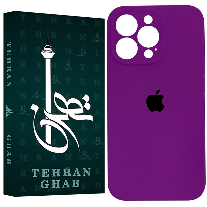 کاور تهران قاب مدل SILIFIT مناسب برای گوشی موبایل اپل iPhone 12 Pro Max