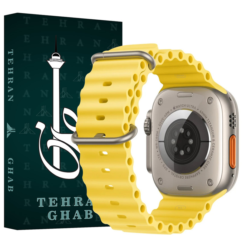 بند ساعت تهران قاب مدل OCTD مناسب برای اپل واچ Watch SE 44mm
