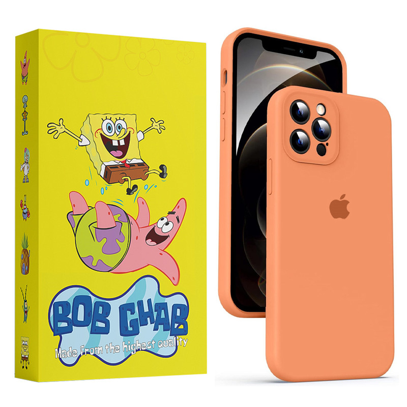 کاور باب قاب مدل BOBSILIC مناسب برای گوشی موبایل اپل iPhone 13 Pro