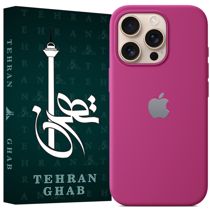 کاور تهران قاب مدل TSI20 مناسب برای گوشی موبایل اپل iPhone 16 Pro Max