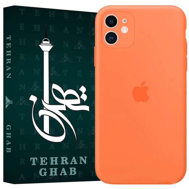 کاور تهران قاب مدل TSILICIN مناسب برای گوشی موبایل اپل iPhone 11