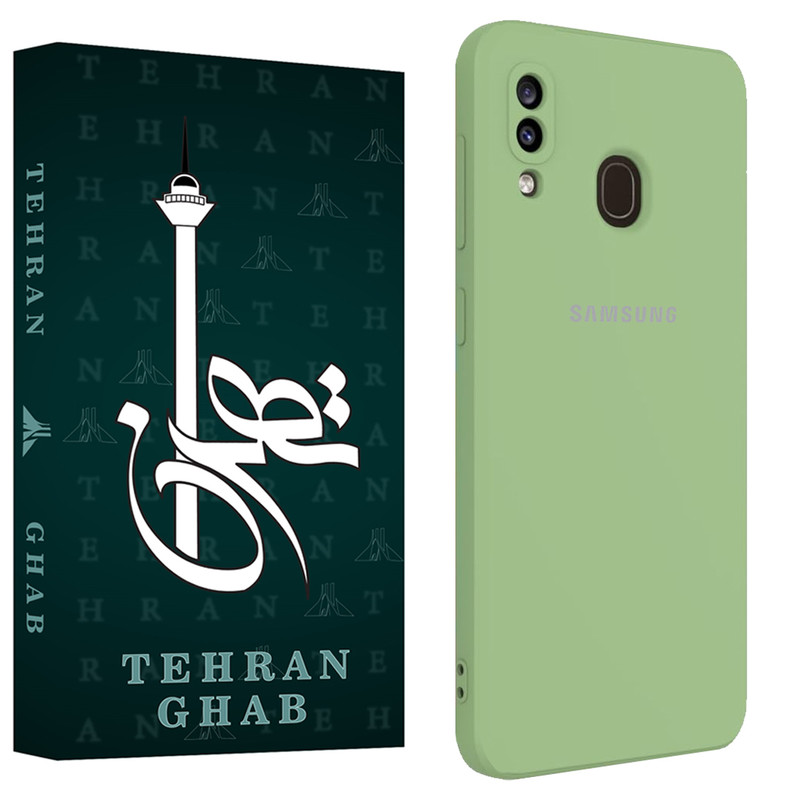 کاور تهران قاب مدل TSILICIN مناسب برای گوشی موبایل سامسونگ Galaxy A20 / A30 / M10s