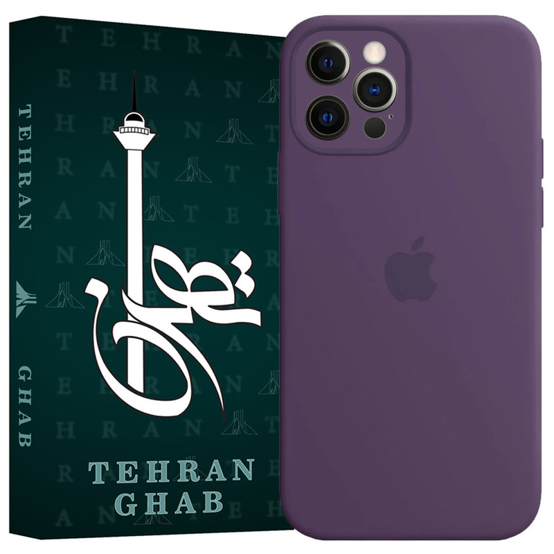 کاور تهران قاب مدل TSILICIN مناسب برای گوشی موبایل اپل iPhone 12 Pro