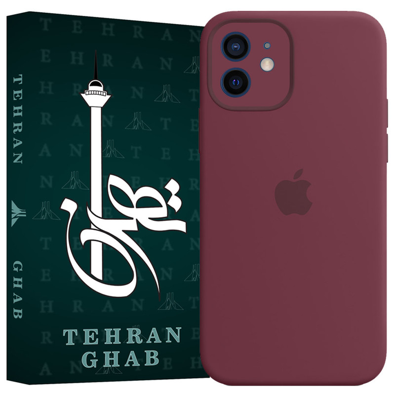 کاور تهران قاب مدل TSILICIN مناسب برای گوشی موبایل اپل iPhone 12